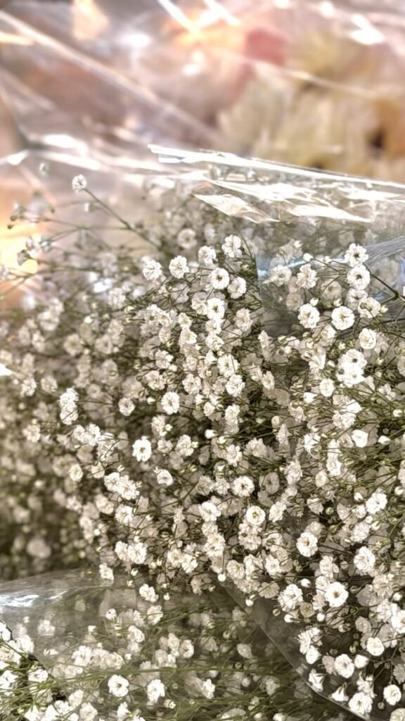 Follajes Gypso para floristería