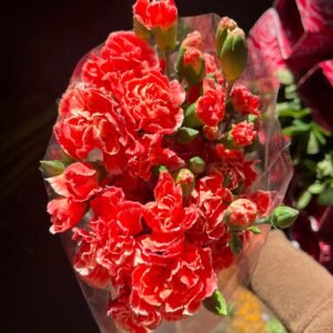 Claveles rojos