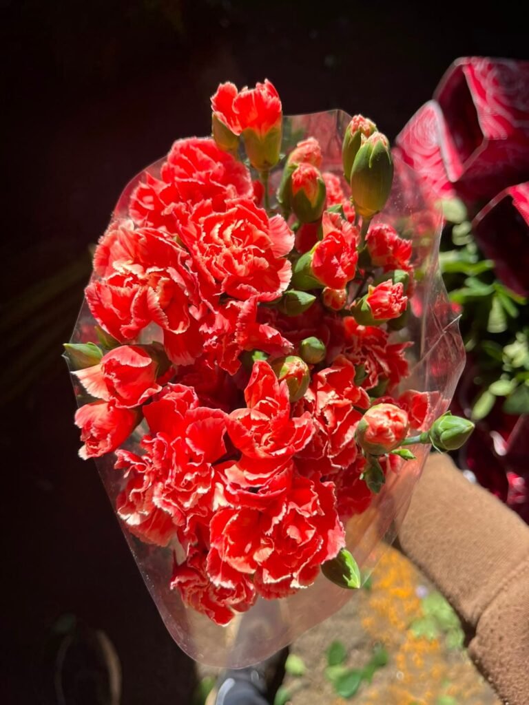 Follajes Claveles rojos
