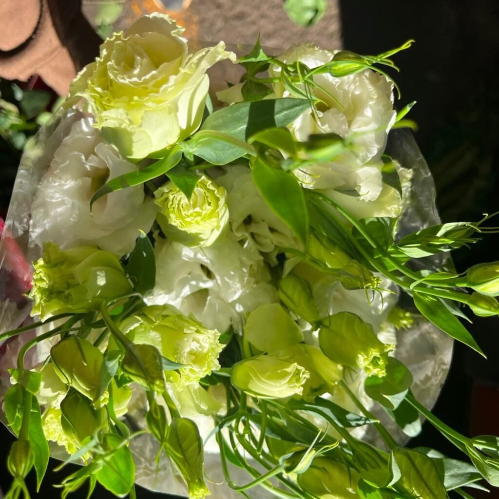 Flores para Floristería y Floristas | Roma Flor whatsapp image 2026 08 12 at 7.02.36 pm